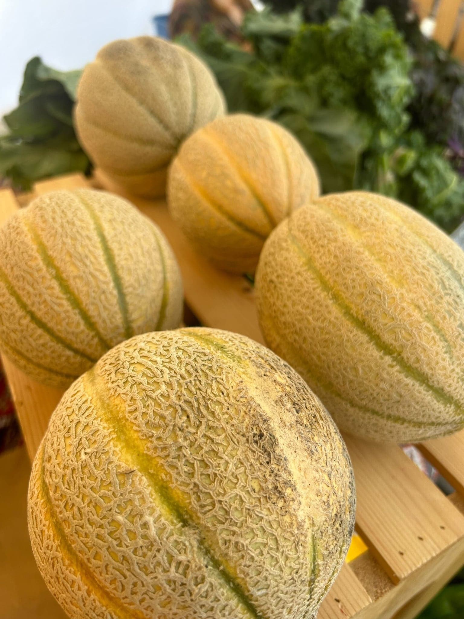False Creek Farmers Market in Vancouver
