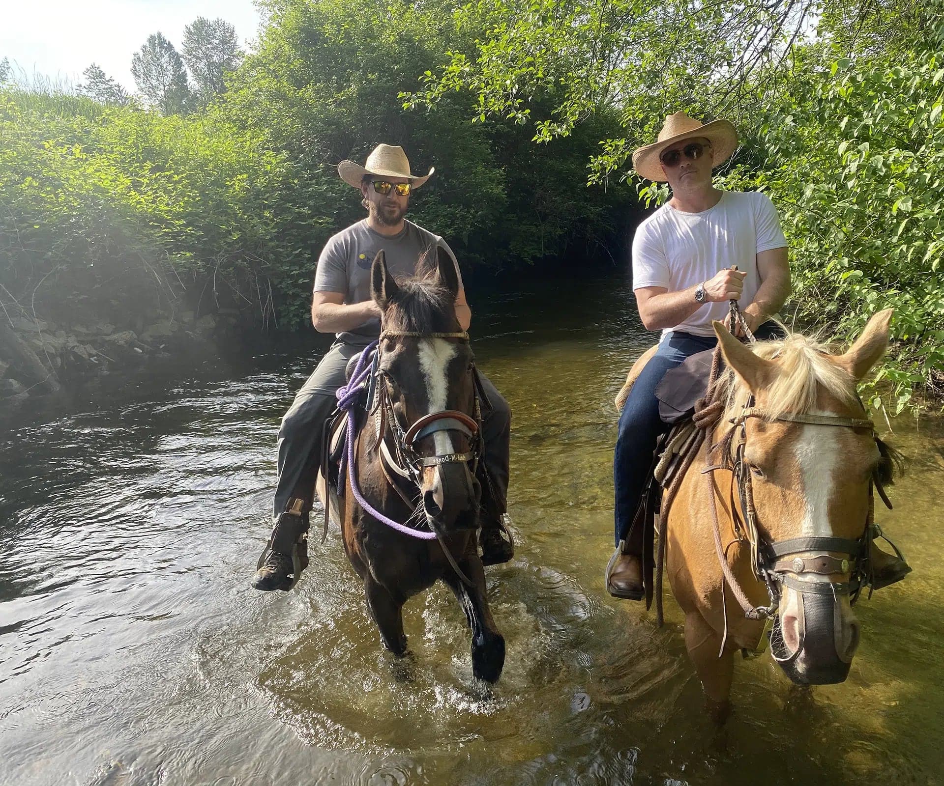 Leghorn Ranch Horseback Trail Rides in Coquitlam