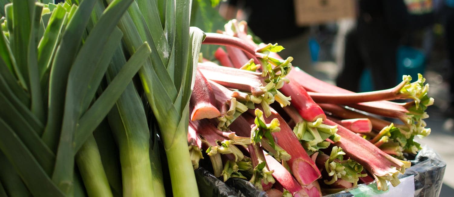 Trout Lake Farmers Market in Vancouver