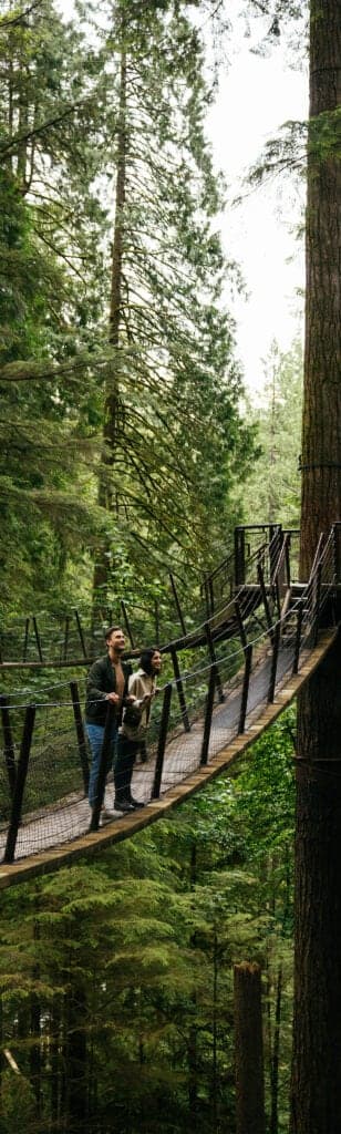 Treetops Adventure in North Vancouver