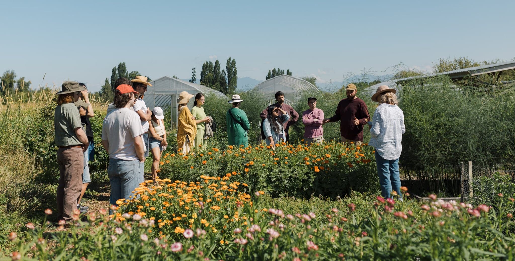 The Sharing Farm Society in Richmond